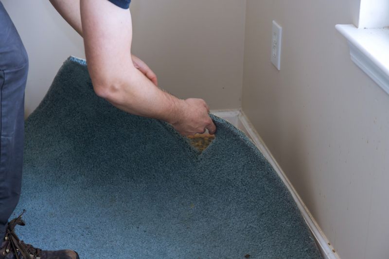 Basement Carpet Stretching in Old Bridge, NJ