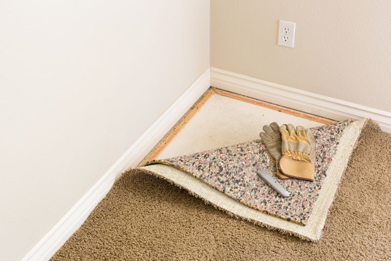 Carpet Underlay Replacement in Overland Park, KS