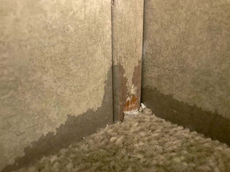 Residential Carpet Repair in Littleton, CO
