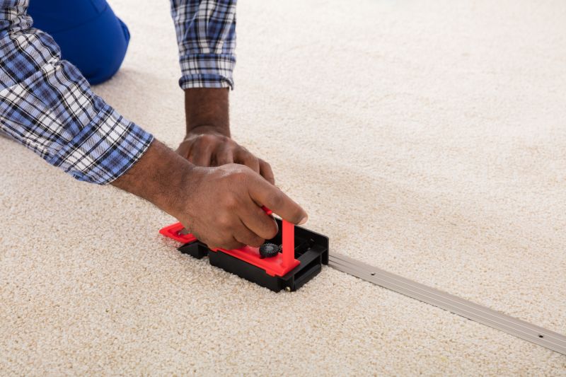 Professional Carpet Technicians